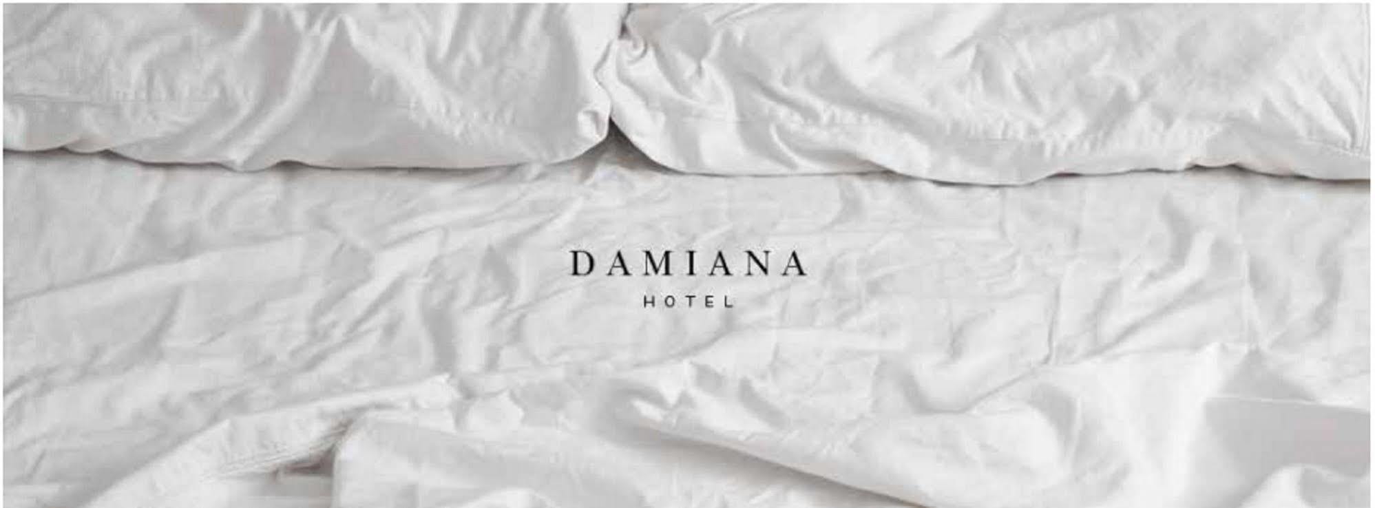 Hotel Damiana Boutique Querétaro Buitenkant foto